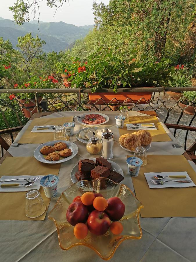 L'Albero Del Cioccolato Bed & Breakfast Pigna Bagian luar foto