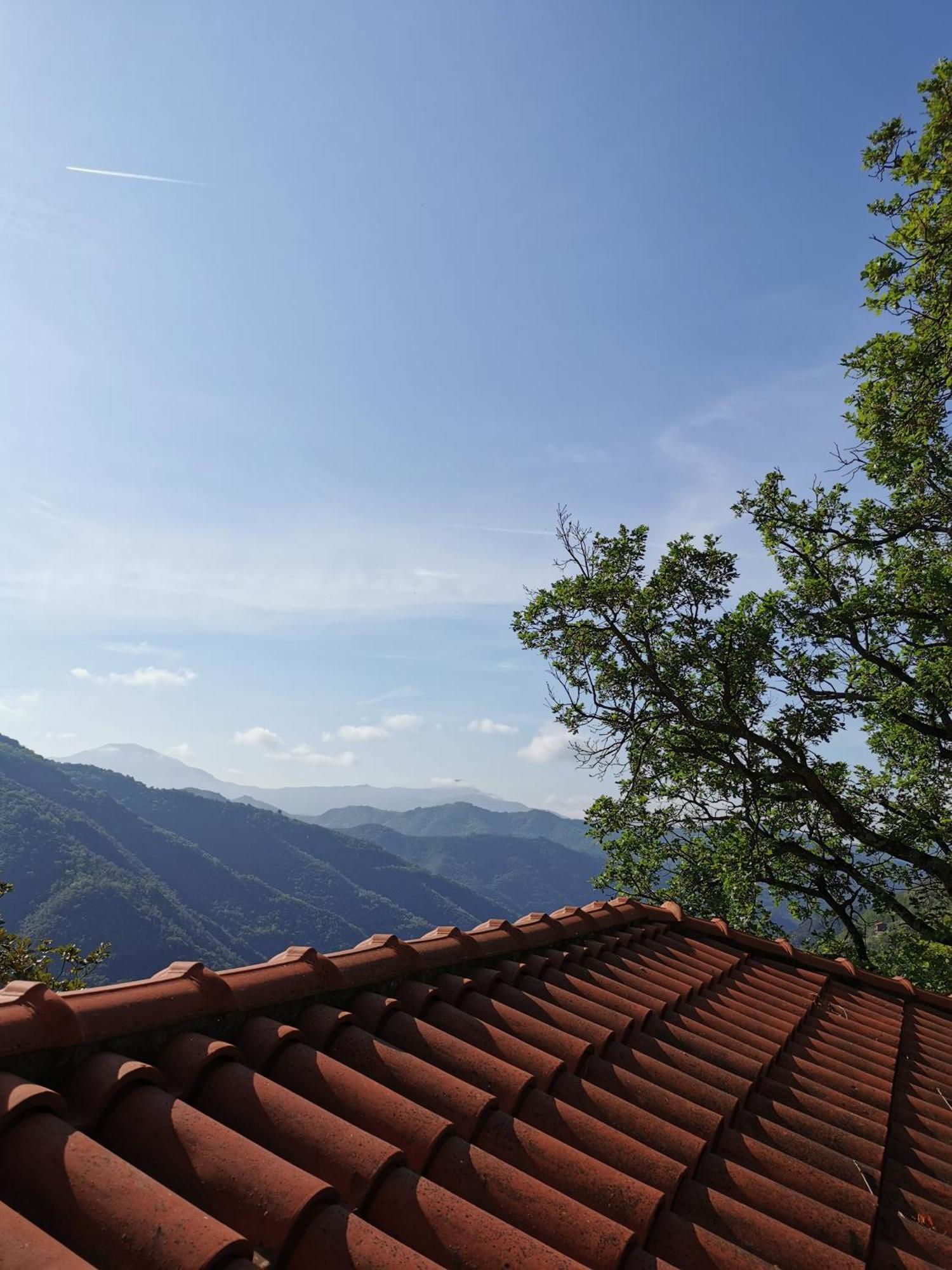 L'Albero Del Cioccolato Bed & Breakfast Pigna Ruang foto